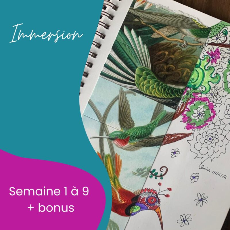 L'immersion